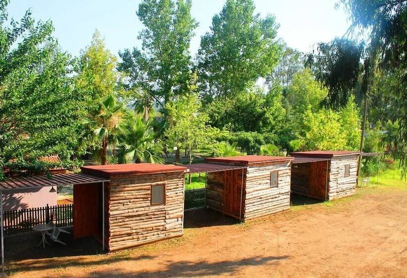 Medusa Bar & Camping Hostel