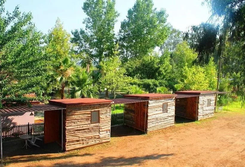 Medusa Bar & Camping Hostel