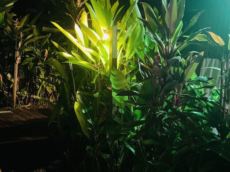 پانسیون Eden Paradise Spa Ecolodge