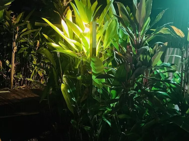 پانسیون Eden Paradise Spa Ecolodge