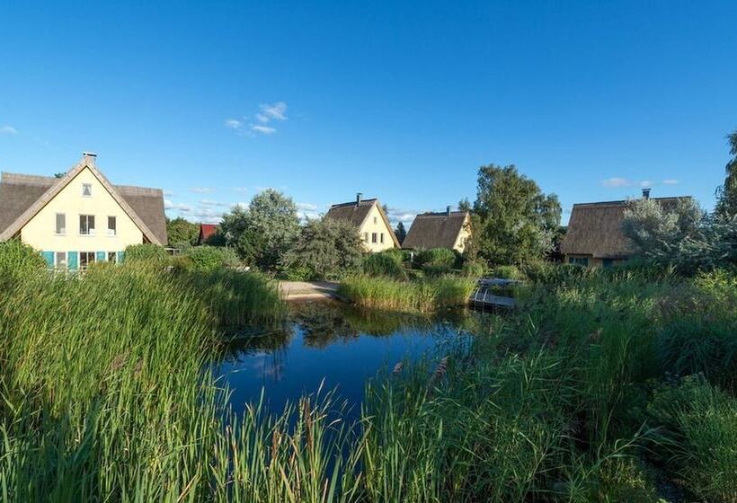 Reetdachhaus In Krienke