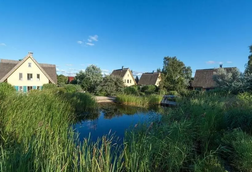 Reetdachhaus In Krienke