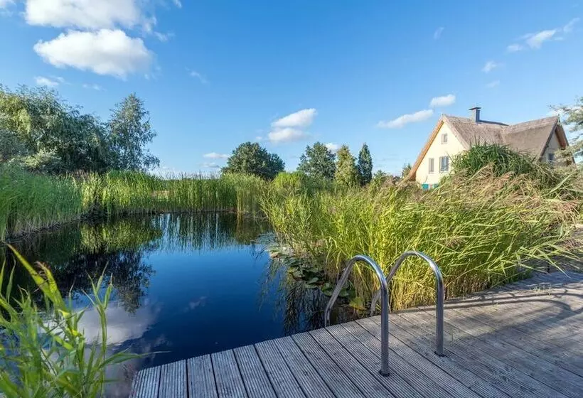 Reetdachhaus In Krienke