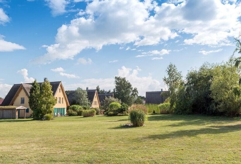 Reetdachhaus In Krienke