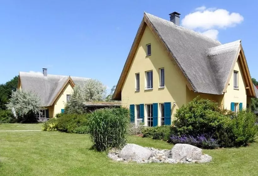 Reetdachhaus In Krienke