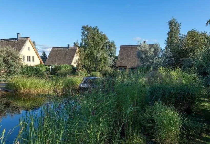 Reetdachhaus In Krienke