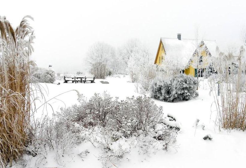 Reetdachhaus In Krienke