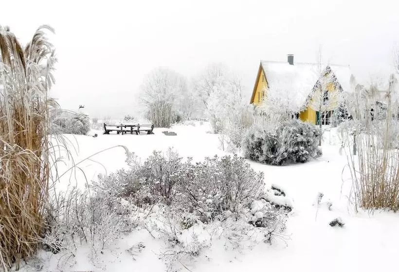 Reetdachhaus In Krienke