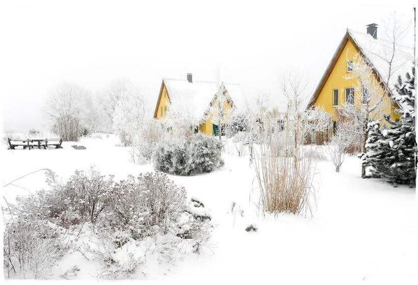 Reetdachhaus In Krienke