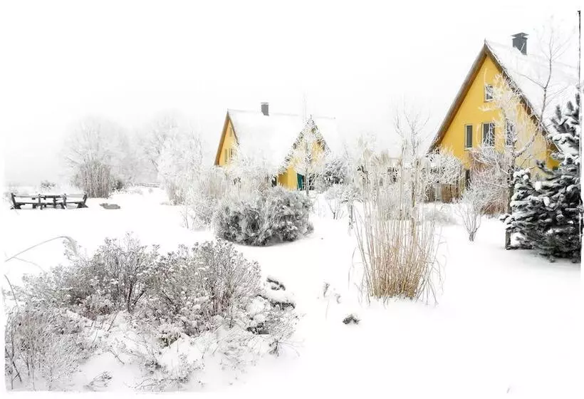 Reetdachhaus In Krienke