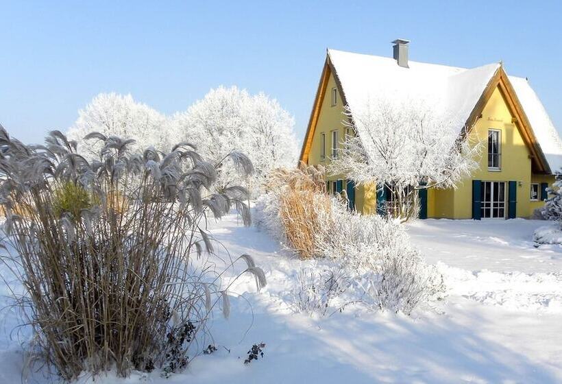 Reetdachhaus In Krienke