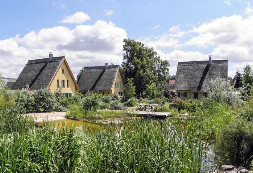 Reetdachhaus In Krienke