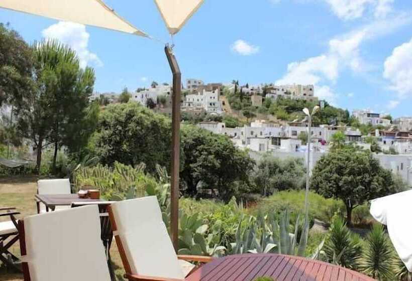 Sole Boutique Hotel & Spa