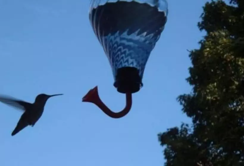 The Dominion House Bed & Breakfast