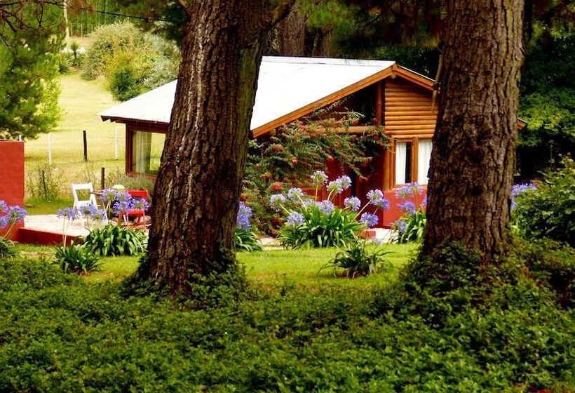 تختخواب و صبحانه Posada Del Viento