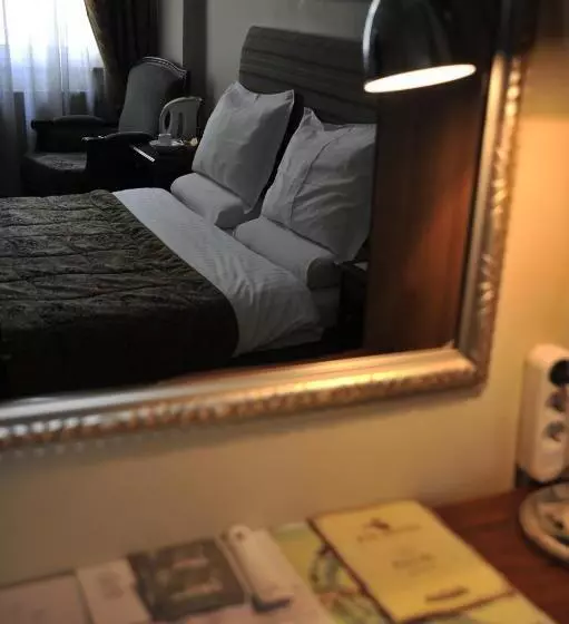 Ak Efe Hotel Edi̇rne