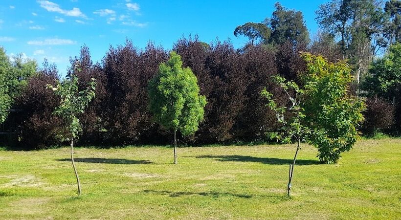 هتل Cabañas Lago Azul