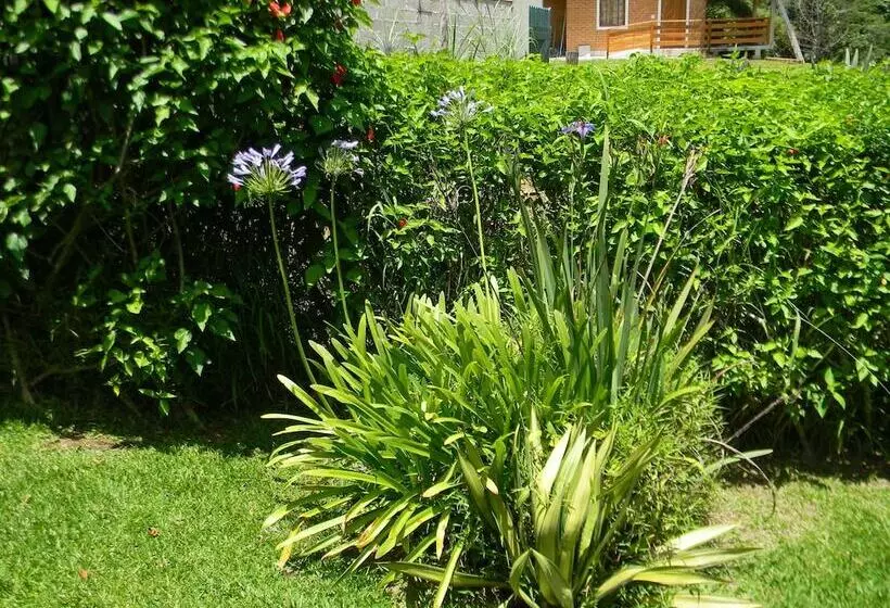 ホテル Chalés Luar Da Serra