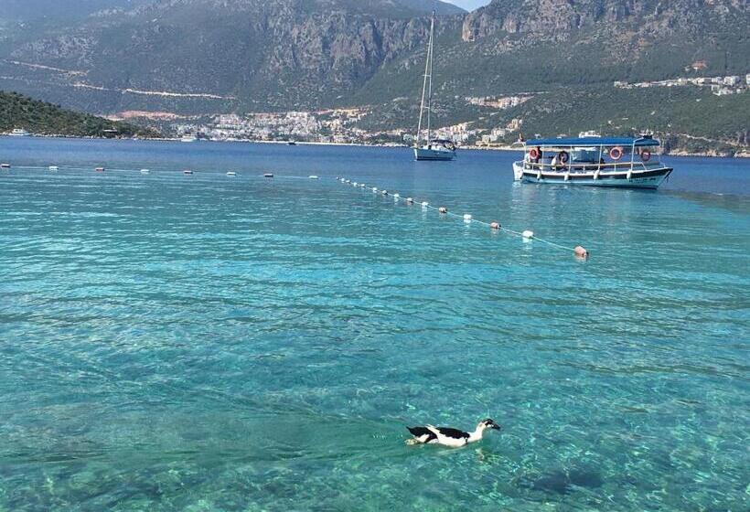 هتل La Moda Beach