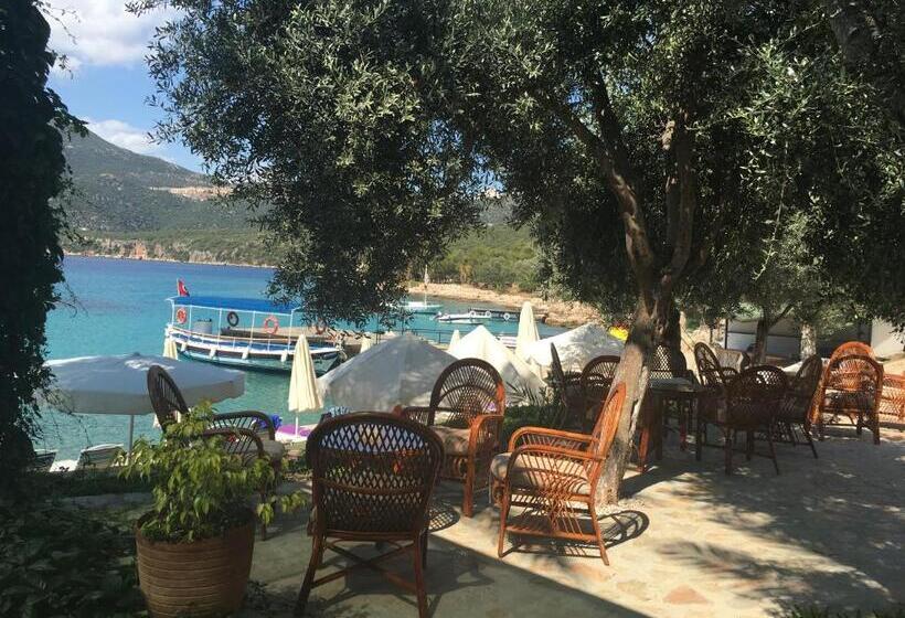 هتل La Moda Beach