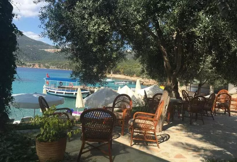 Hôtel La Moda Beach