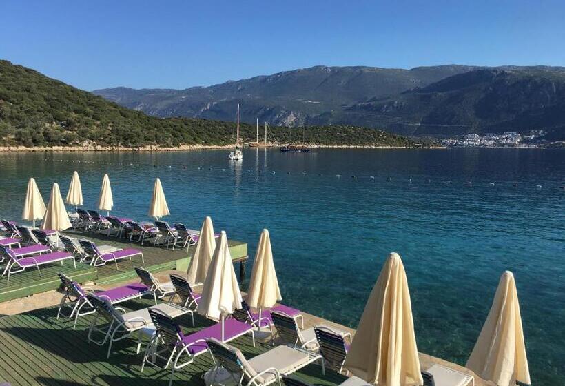 هتل La Moda Beach