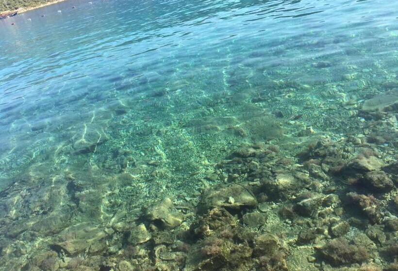 هتل La Moda Beach