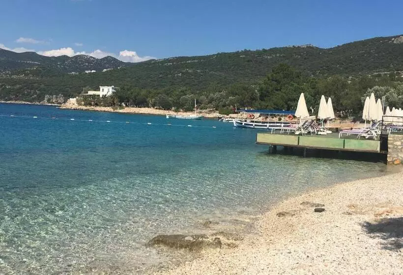 Hôtel La Moda Beach