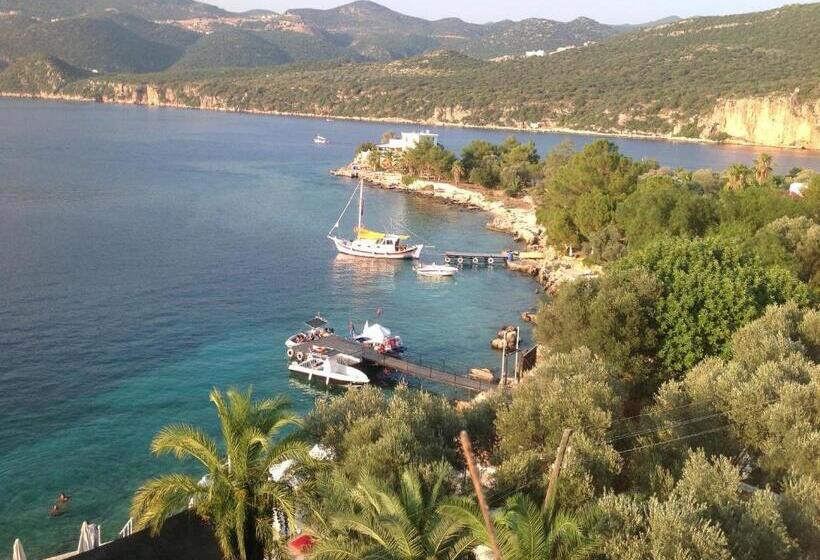 هتل La Moda Beach