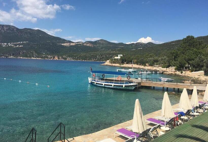 هتل La Moda Beach