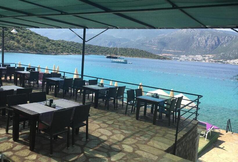 هتل La Moda Beach