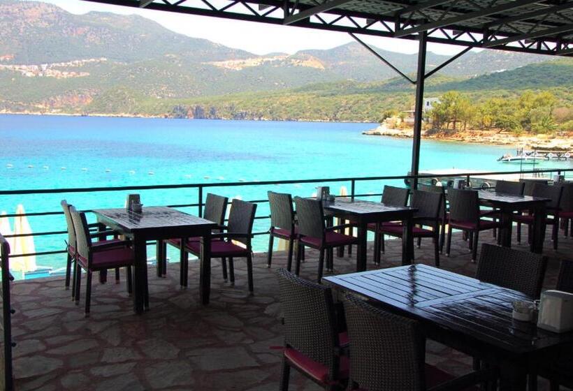 هتل La Moda Beach