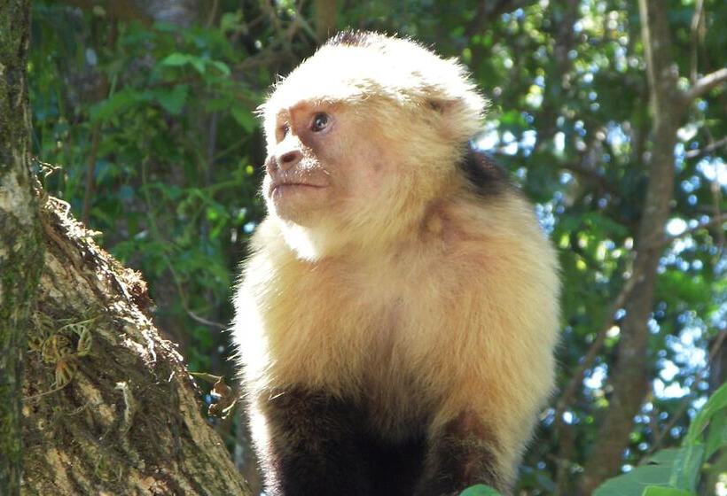 בית מלון כפרי Locanda Samara Beach