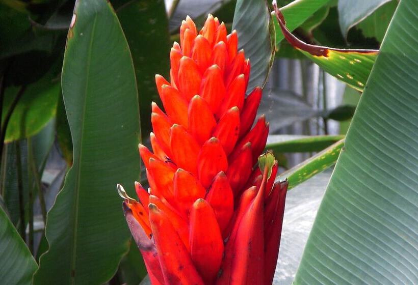 בית מלון כפרי Locanda Samara Beach