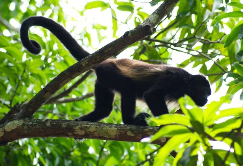 בית מלון כפרי Locanda Samara Beach