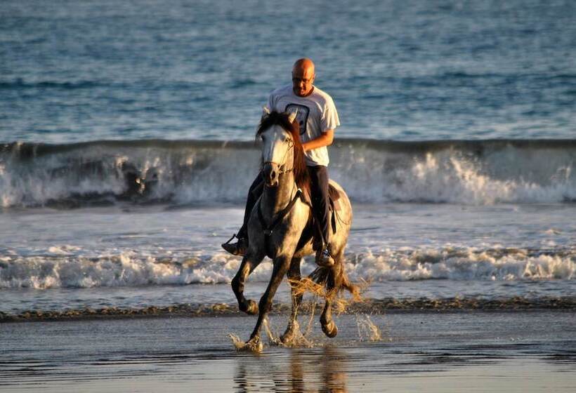 בית מלון כפרי Locanda Samara Beach