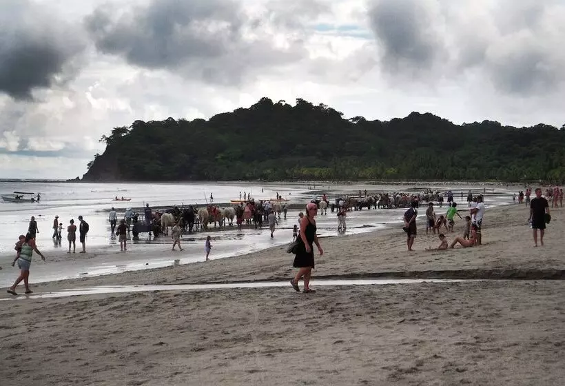 ホテル Locanda Samara Beach