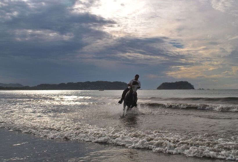 בית מלון כפרי Locanda Samara Beach