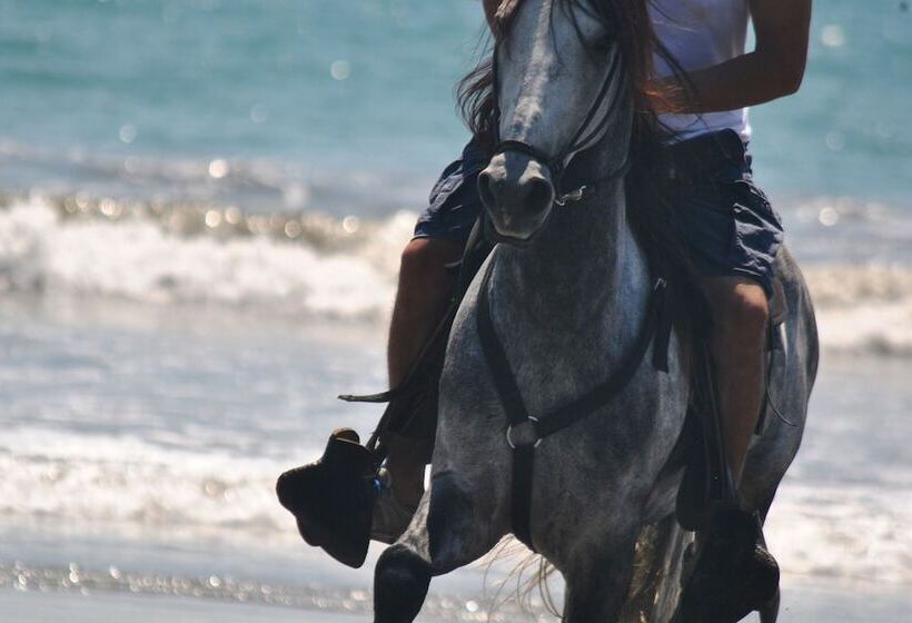 בית מלון כפרי Locanda Samara Beach