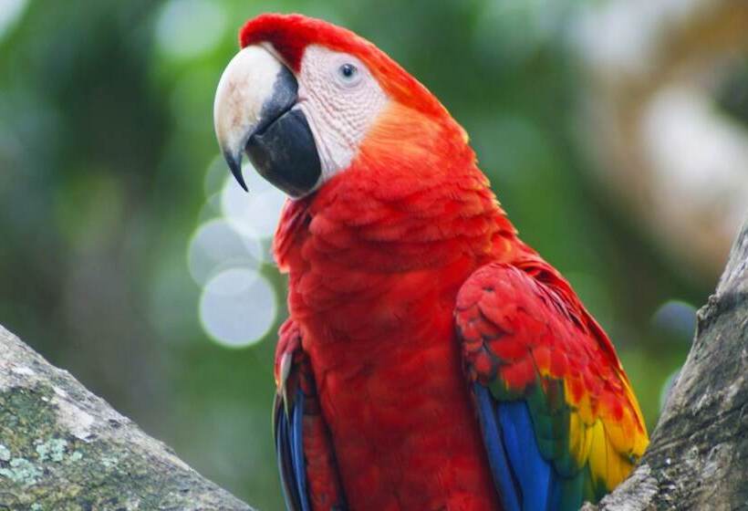 בית מלון כפרי Locanda Samara Beach