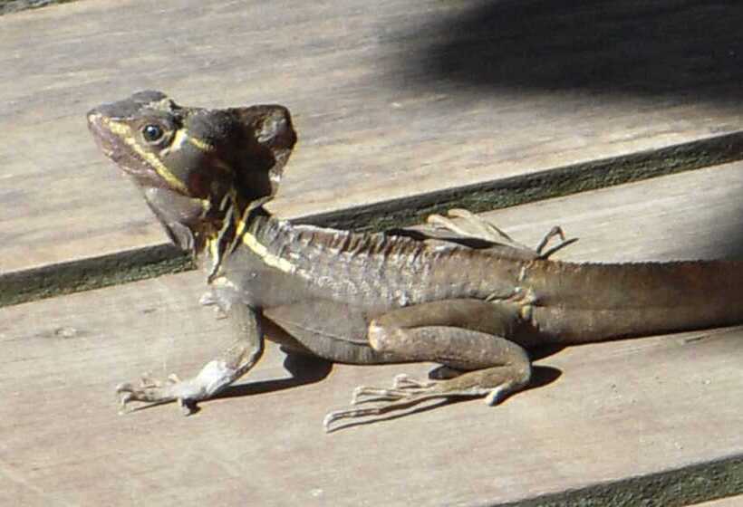 בית מלון כפרי Locanda Samara Beach