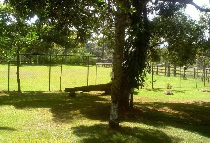 ホテル Pousada Jardim Da Mata