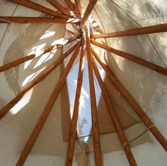 Old Owl's Nest