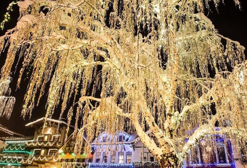 Ole Berg S Den In Lake Wenatchee