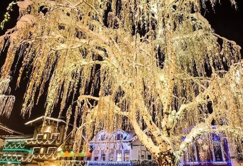 Ole  Berg S Den In Lake Wenatchee