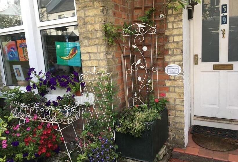 Пансион Arts&bichonsb&b