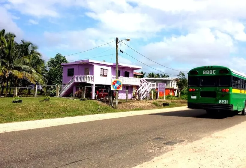 پانسیون Belize Cultural Adventure Guesthouse