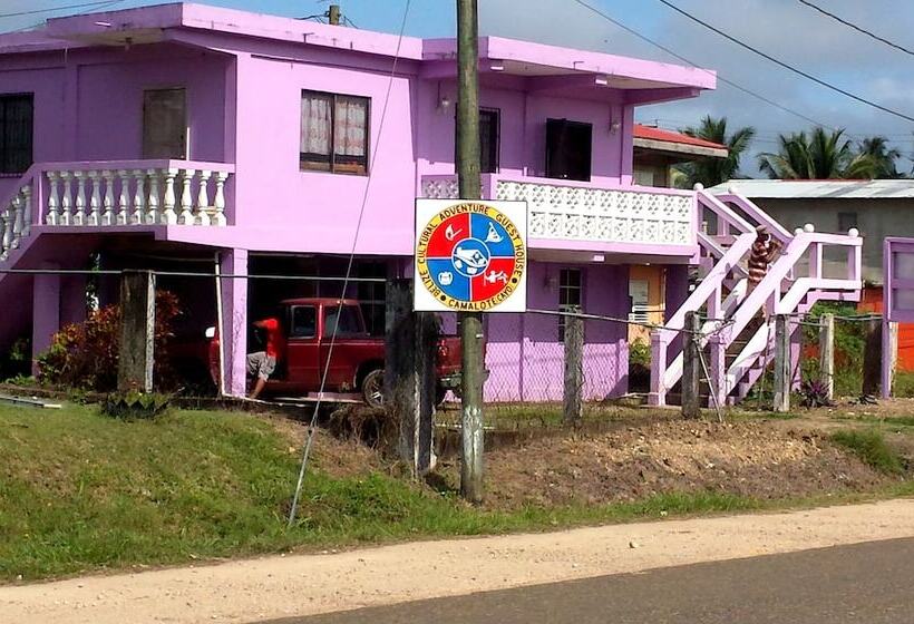 膳宿费 Belize Cultural Adventure Guesthouse