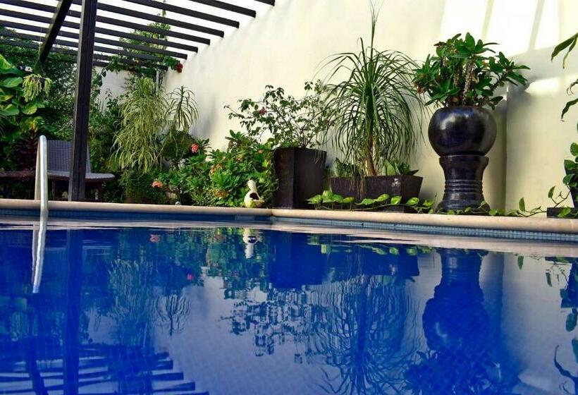 پانسیون Casa Rosario