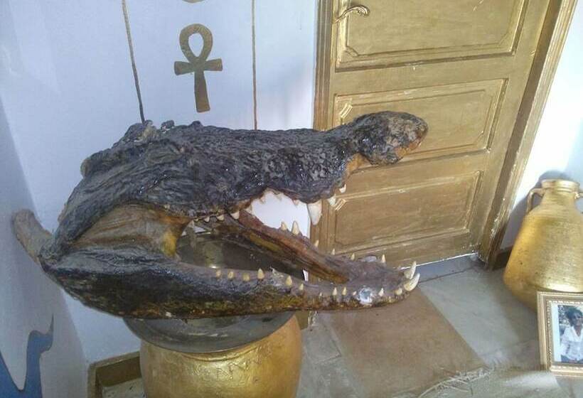 پانسیون Golden Pharaoh